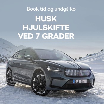  Vinter 21